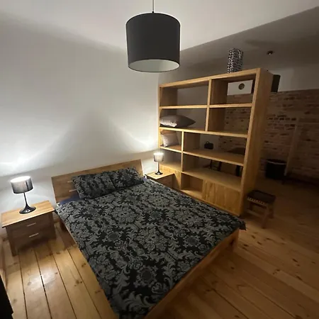 Apartment Wood & Brick Is All You Need Riga